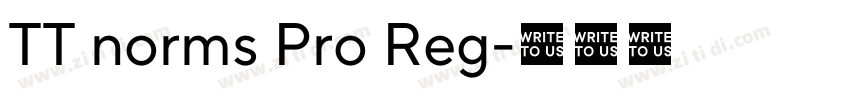 TT norms Pro Reg字体转换 TT norms Pro Reg字体转换